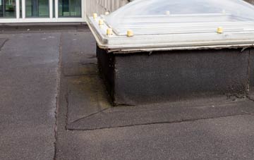 disadvantages of Delamere flat roofs