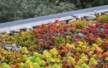 the cost of Delamere green roof installation
