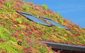 Delamere living roof systems